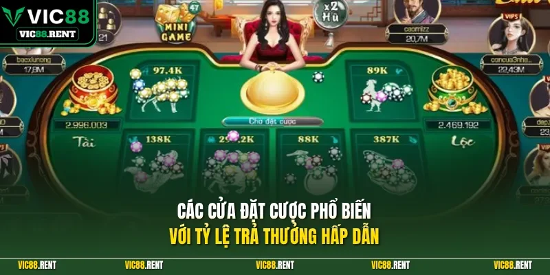 Các cửa đặt cược phổ biến với tỷ lệ trả thưởng hấp dẫn