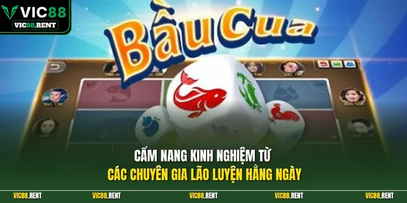 Cẩm nang kinh nghiệm từ các chuyên gia lão luyện hằng ngày