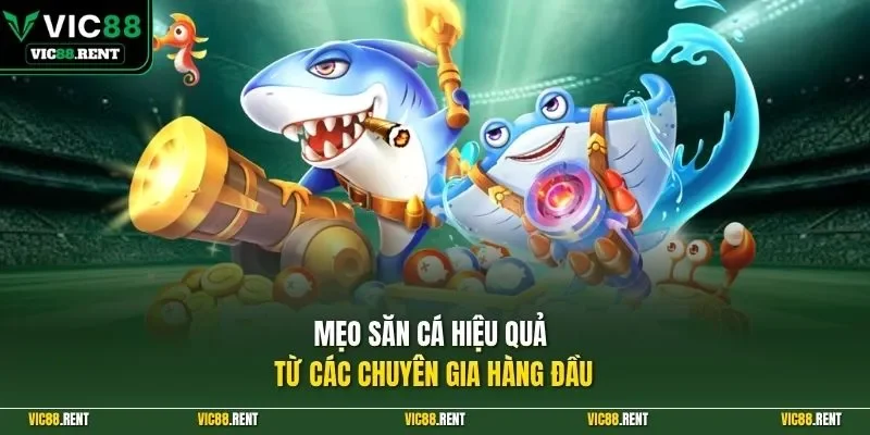 Mẹo săn cá hiệu quả từ các chuyên gia hàng đầu